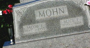 Alice E Krieger Mohn Alice E Krieger Mohn