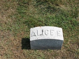 Alice E Priest