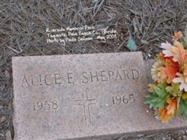 Alice E Shepard Alice E Shepard