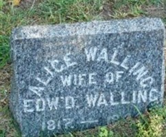 Alice E. Walling Alice E. Walling