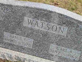 Alice E Watson Alice E Watson