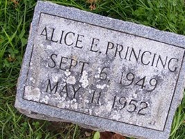 Alice Eleanor Princing