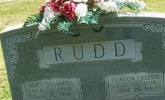 Alice Elizabeth Brummitt Rudd