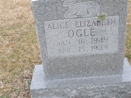 Alice Elizabeth Ogle