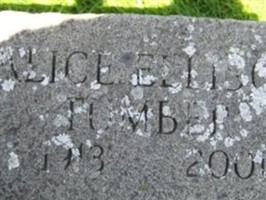 Alice Ellison Shoemaker Tumber Alice Ellison Shoemaker Tumber