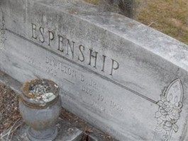 Alice Espenship Widmann