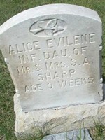 Alice Evilene Sharp Alice Evilene Sharp