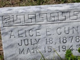 Alice Fenella Ensminger Cuny Alice Fenella Ensminger Cuny