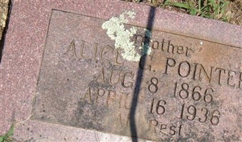 Alice G. Pointer Alice G. Pointer