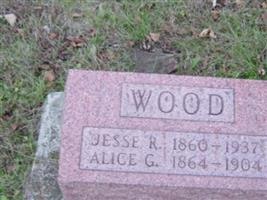 Alice G Wood