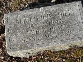 Alice Gibbs Hill