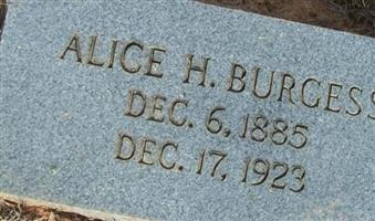 Alice H Burgess