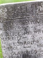 Alice H. Watson Shelton Alice H. Watson Shelton