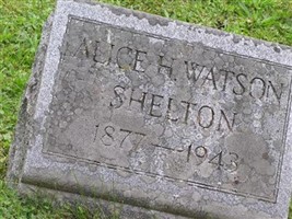 Alice H. Watson Shelton Alice H. Watson Shelton