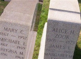 Alice H Zook