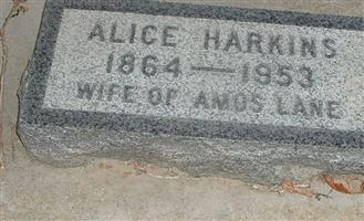 Alice Harkins Lane