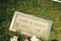Alice Harriet Daily Angus Alice Harriet Daily Angus