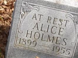 Alice Harrison Holmes