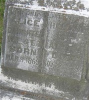 Alice Helena Alyea