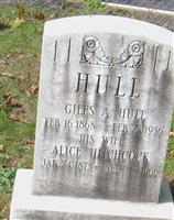 Alice Hitchcock Hull