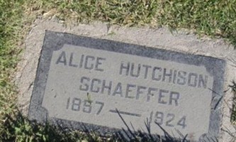 Alice Hutchison Schaeffer