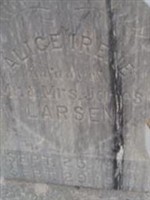 Alice Irene Larsen Alice Irene Larsen