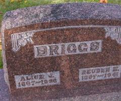 Alice J Briggs
