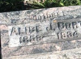 Alice J Cort