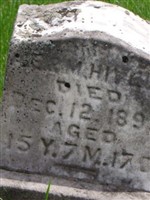 Alice J. Hively