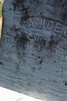 Alice J Knowles Alice J Knowles