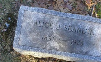 Alice J Scanlon Alice J Scanlon