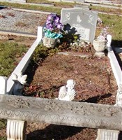 Alice Jean Johnson Alice Jean Johnson