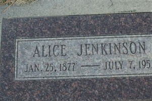 Alice Jenkinson Alice Jenkinson