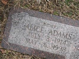 Alice Johnson Adams