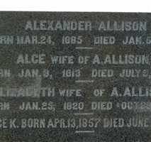 Alice K Allison