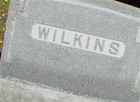 Alice L. Robbins Wilkins Alice L. Robbins Wilkins