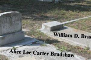 Alice Lee Carter Bradshaw