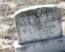 Alice Lee Carter Bradshaw