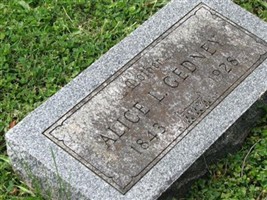 Alice Louisa Macomber Gedney Alice Louisa Macomber Gedney