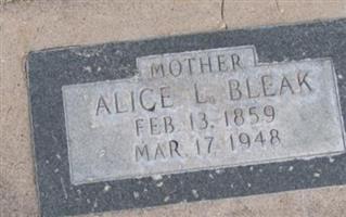 Alice Louise Barlow Bleak