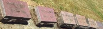 Alice Lyle Davis Alice Lyle Davis