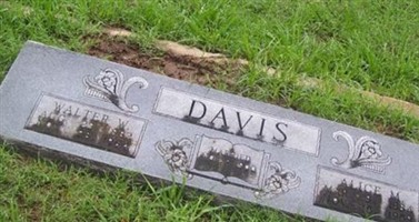 Alice M Davis Alice M Davis