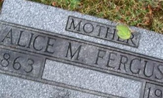 Alice M Ferguson Alice M Ferguson