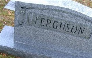 Alice M Ferguson Alice M Ferguson