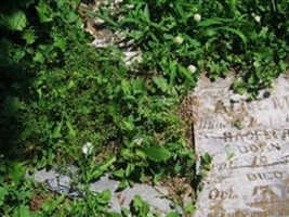 Alice M. Hackler