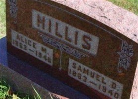 Alice M Hillis Alice M Hillis