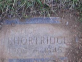 Alice M Shortridge Alice M Shortridge