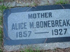 Alice M. Snyder Bonebreak Alice M. Snyder Bonebreak