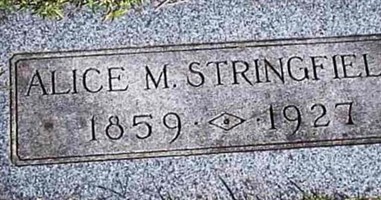 Alice M Stringfield Alice M Stringfield