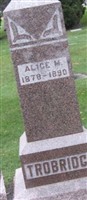 Alice M Trowbridge